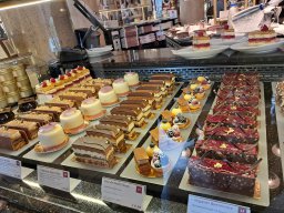 04_Wien_Impressionen_2025