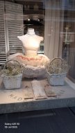 10_Wien_Impressionen_2025