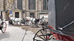12_Wien_Impressionen_2025