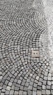 14_Wien_Impressionen_2025